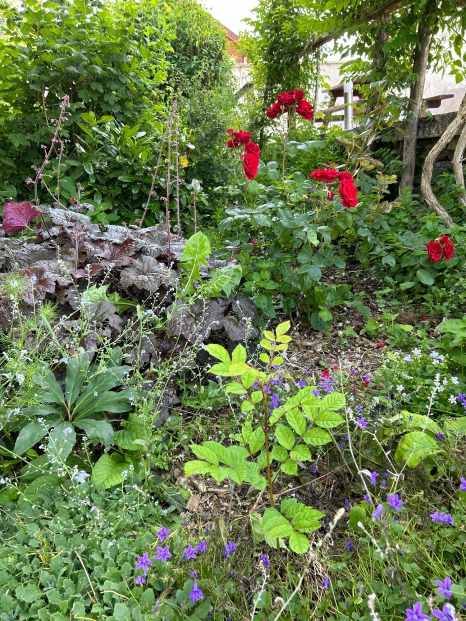 PIVOINE Chambre d hotes Fralignes Extérieur photo